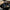 Aktionsbanner