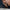 Aktionsbanner